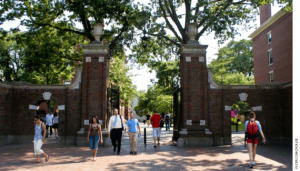 Yes, It Really Is Harder to Get into Highly Selective Colleges Today