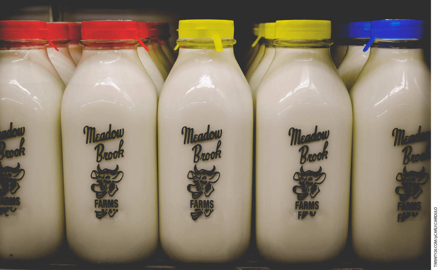 Dairy bottles on a shelf