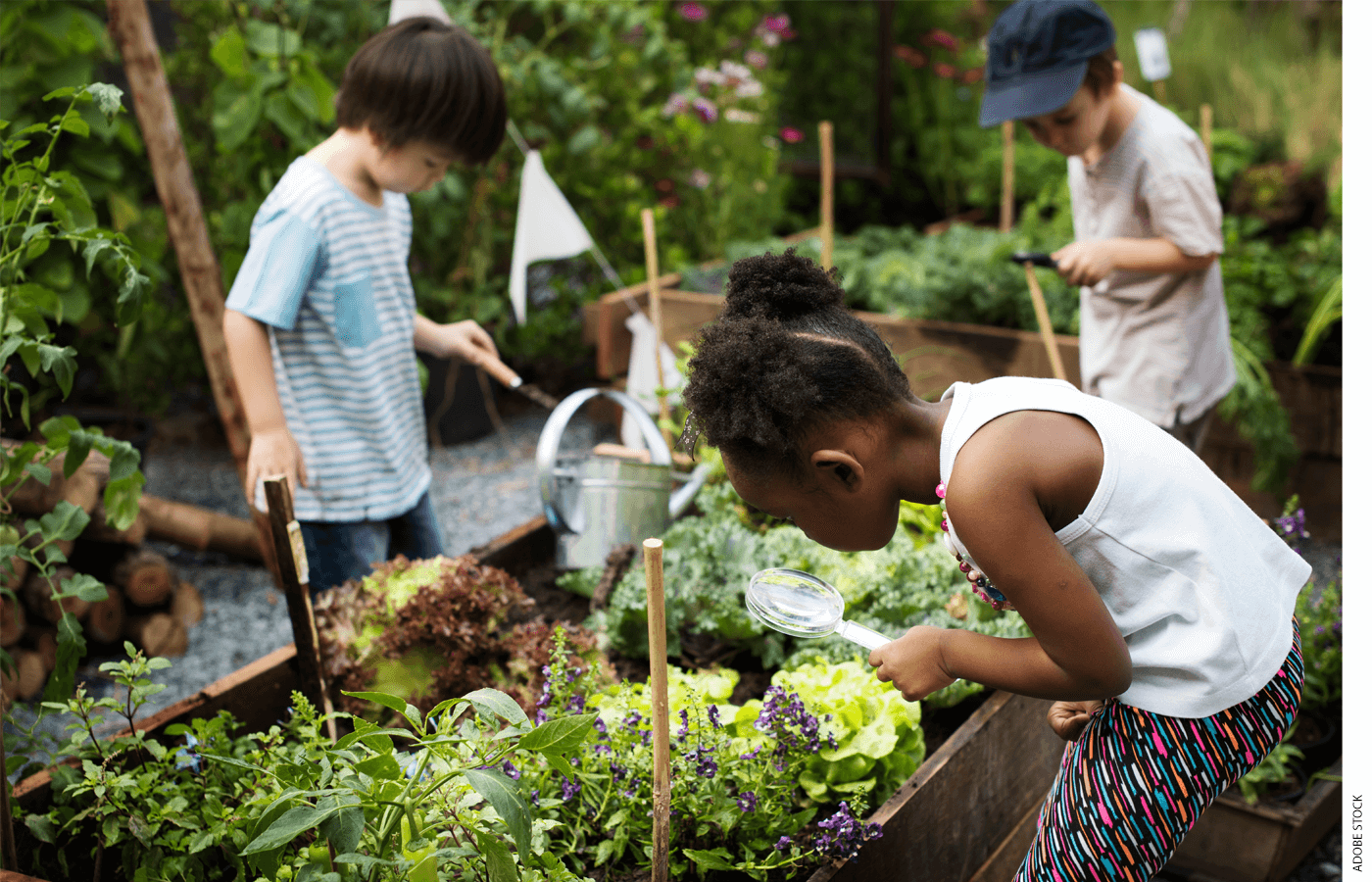 Three kindergarten children explore a community garden